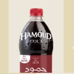 pub hamoud
